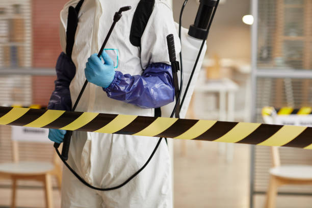 Professional Odor Removal technician working in Pelham, GA